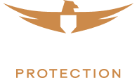 Modern Protection logo